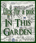 In This Garden
