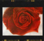 Picture Poetry